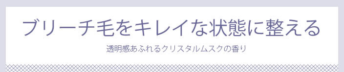 エルジューダ ブリーチケア