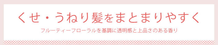 エルジューダ フリッズフィクサー