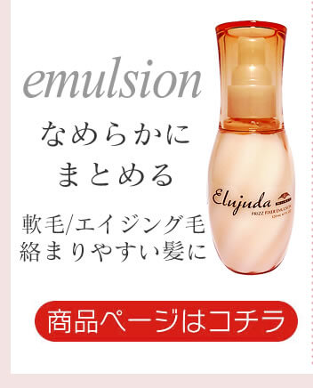 フリッズフィクサーエマルジョン