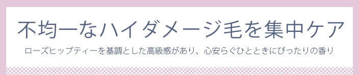 エルジューダ エクストラリペア