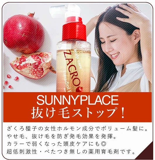 サニープレイス ザクローペリ