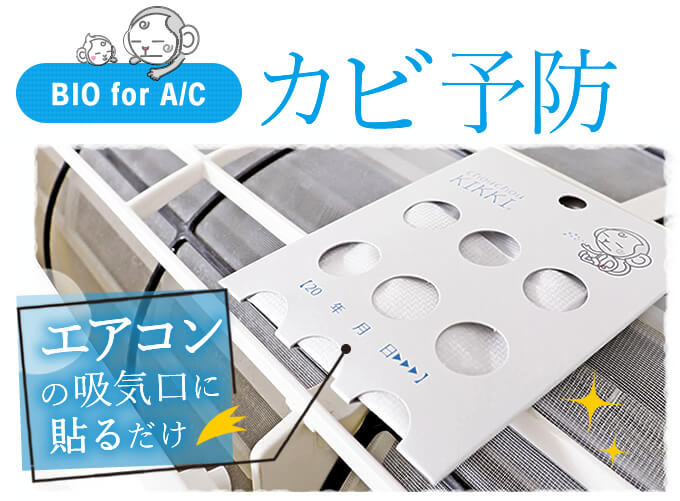 シュシュキッキ バイオ