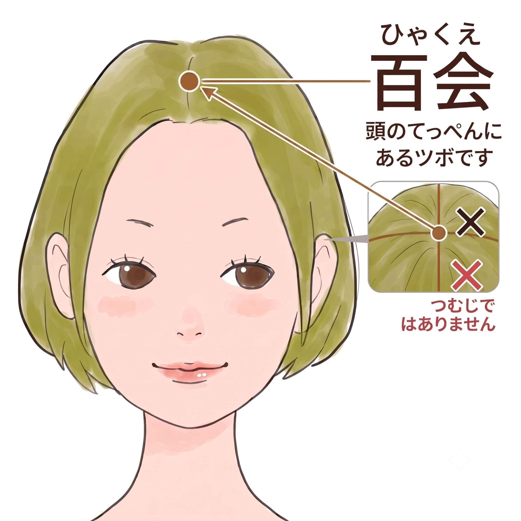 百会