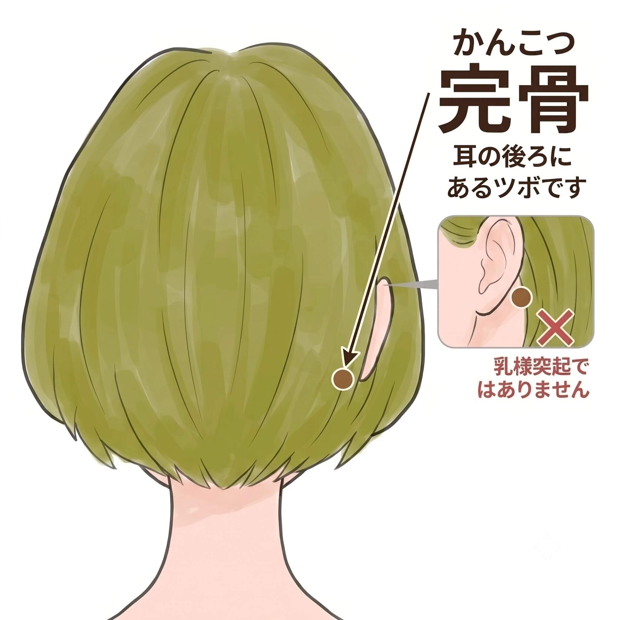 完骨
