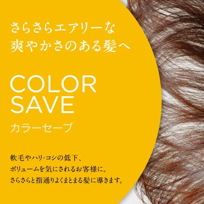 シュワルツコフ BCクア カラーセーブ トリートメントa 250g｜美容室