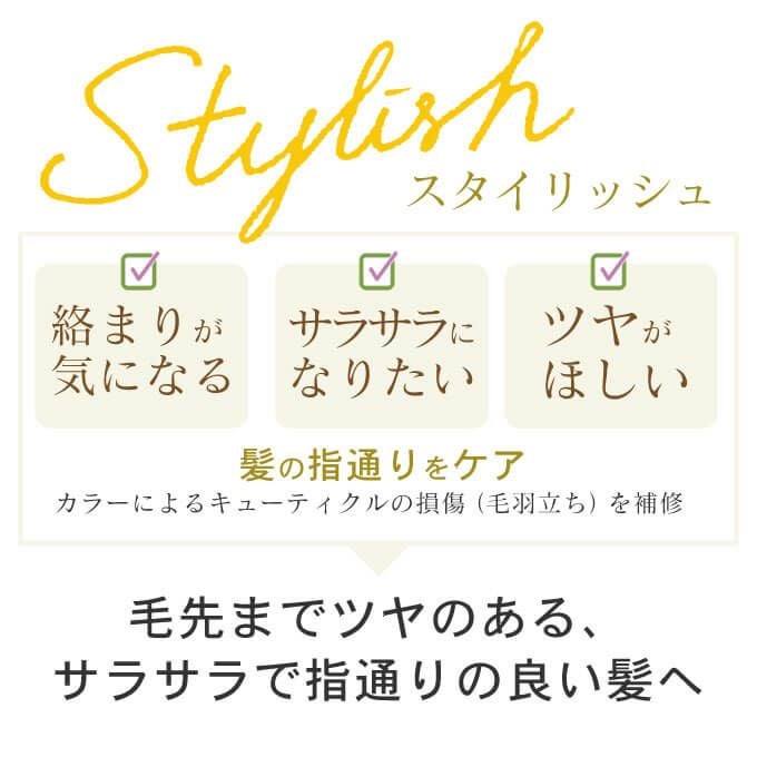 ホーユー プロマスター カラーケア スタイリッシュ シャンプー +