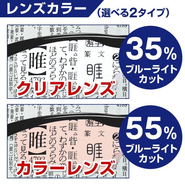 ハズキルーペ 正規代理店】 ハズキルーペ ハズキ ラージ ( 1.32倍 / 1.6倍 / 1.85倍