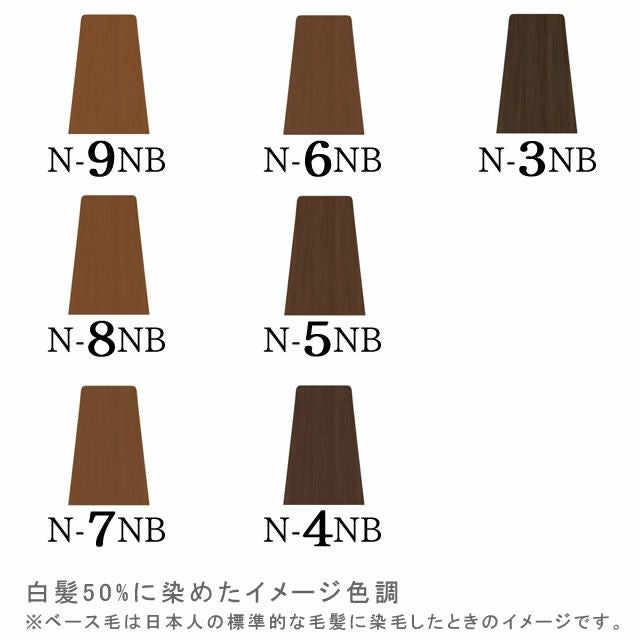【1本あたり250円】ナプラ ナシード 詰め合わせ 未使用品 napla（ナプラ） ナシードカラー グレイファッション 1剤 アッシュ