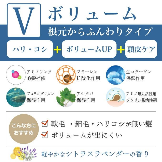 セフティ SAN&MONI サンモニ スキャルプケアシャンプー V 240mL｜美容