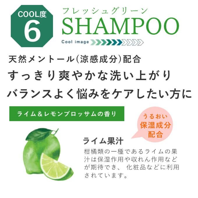 サンコール 2025 ミントベル MV フレッシュグリーン シャンプー 250mL