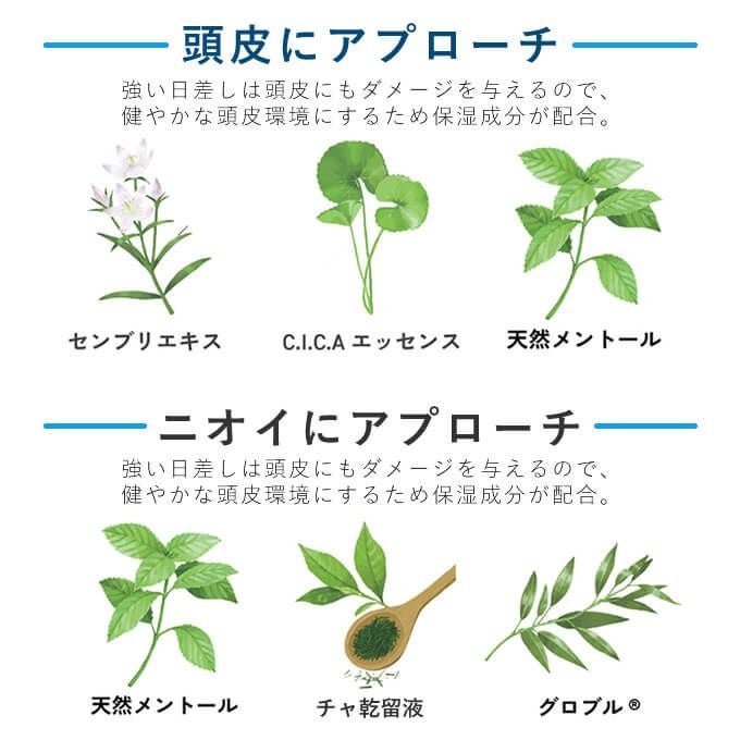 サンコール 2025 ミントベル MV フレッシュグリーン シャンプー 250mL