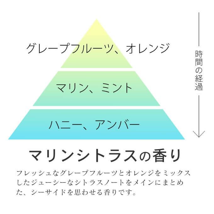 タマリス ソルティール アイスシャンプー 1000mL(詰替)｜美容室専売品