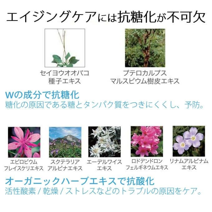 フィヨーレ ファシナート シャンプー AC 250mL｜美容室専売品の