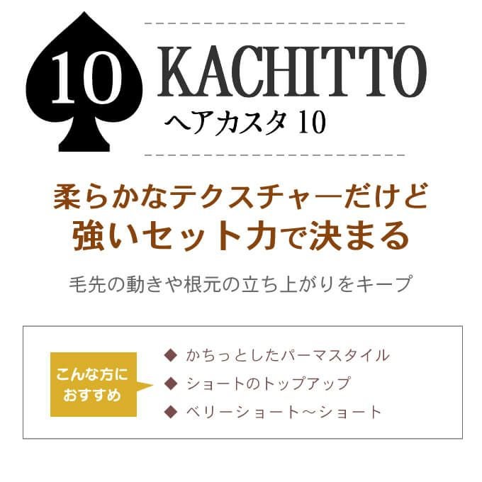 デミ ウェーボ ジュカーラ ヘアカスタ ≪10≫ 200g｜美容室専売品の
