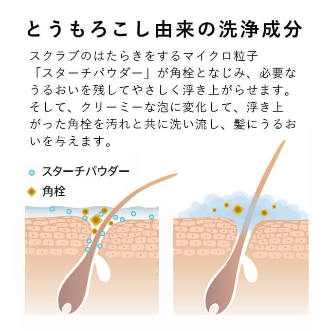 ルベル プロエディット ヘアスキン フロートクレンジング 250mL 業務用