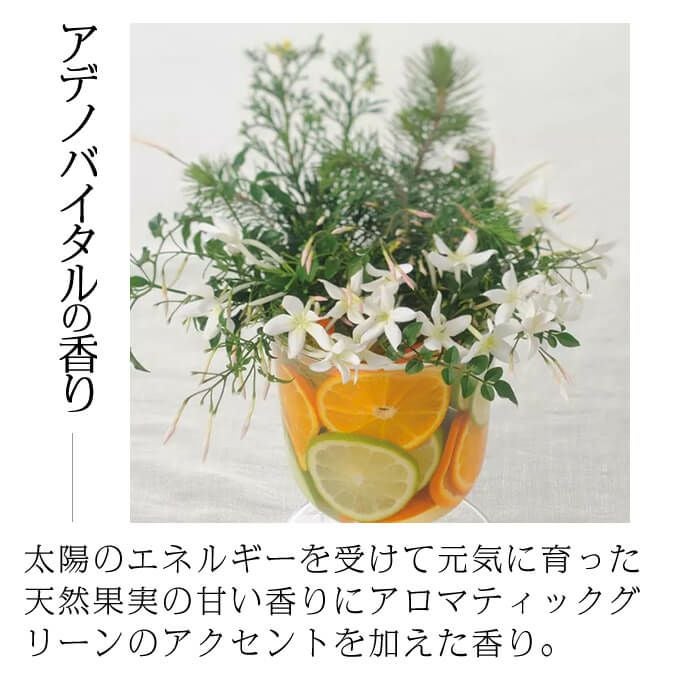 資生堂 ザ・ヘアケア アデノバイタル シャンプー 1000mL ボトル｜美容