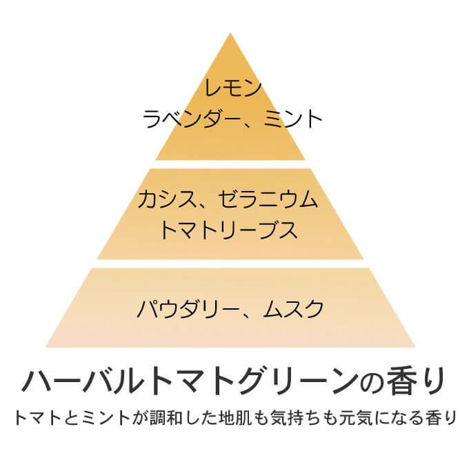 ルベル イオリコミント ルートサプリ ＜スキャルプトリートメント