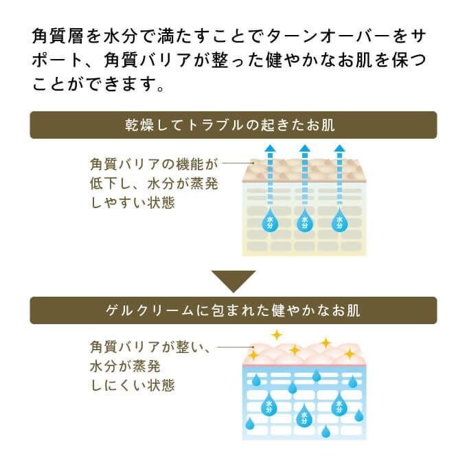エバメール ゲルクリーム Sタイプ 500g (詰替) ≪真空パウチタイプ