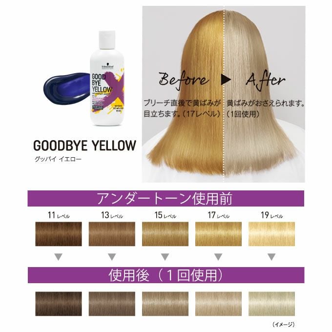 シュワルツコフ グッバイイエロー カラーシャンプーf 310g｜美容室専売