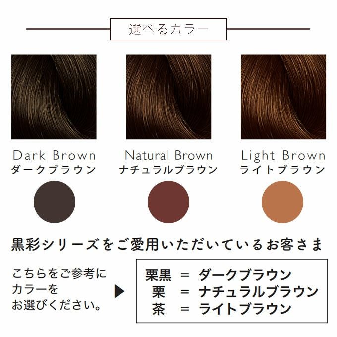 アモロス 黒彩ヘアファンデーション≪レフィル≫ 8g （一時着色料頭皮