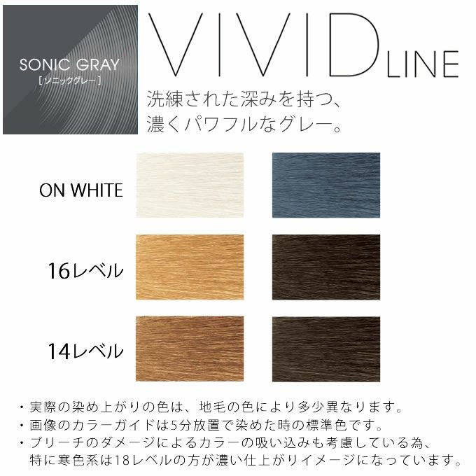 ホーユー イロジカケ ビビットライン ソニックグレー 80g 医薬部外品