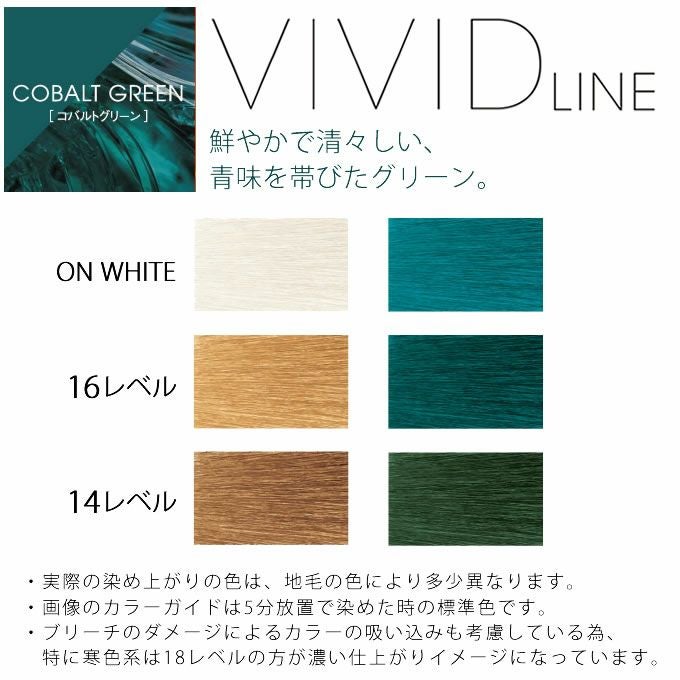 ホーユー イロジカケ ビビットライン コバルトグリーン 80g 医薬部外品