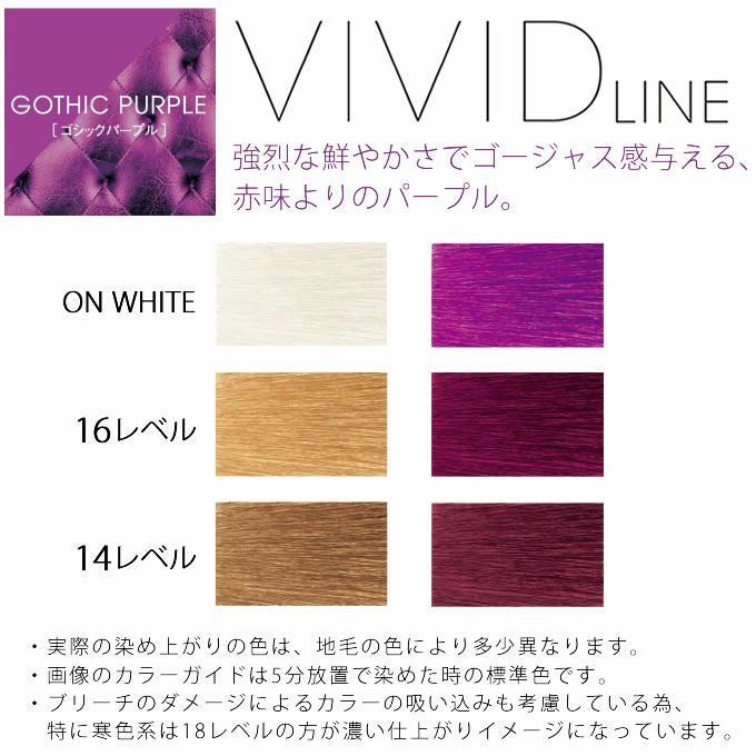 ホーユー イロジカケ ビビットライン ゴシックパープル 80g 医薬部外品