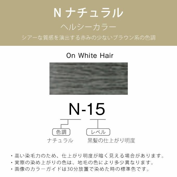 ホーユー プロマスター アプリエ N-15 ナチュラル 80g 医薬部外品