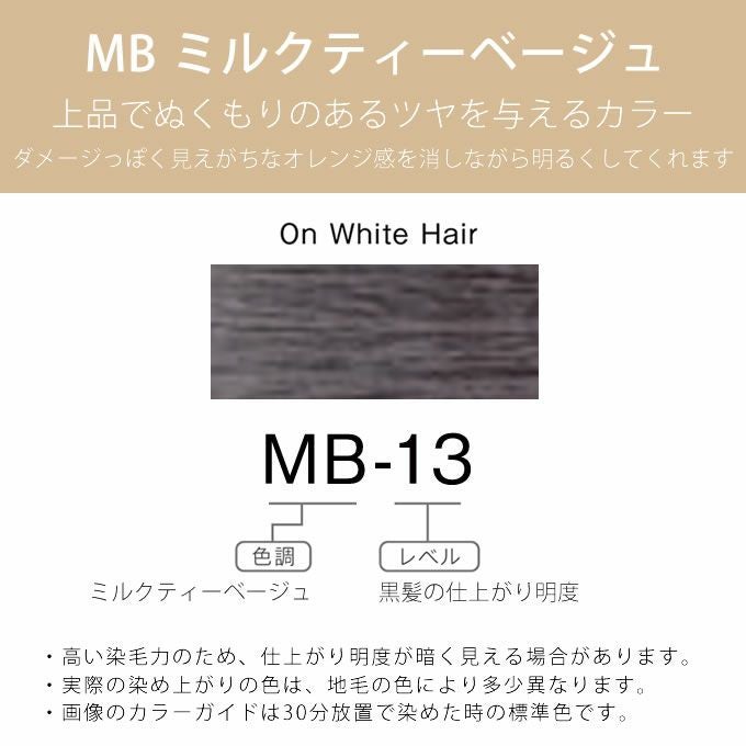 ホーユー プロマスター アプリエ MB-13 ミルクティーベージュ 80g 医薬