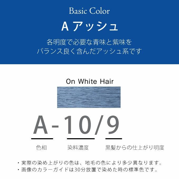 ホーユー プロマスター A-10/9 アッシュ 80g 医薬部外品｜美容室専売品