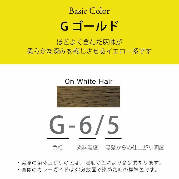 ホーユー プロマスター G-6/5 ゴールド 80g 医薬部外品｜美容室専売品