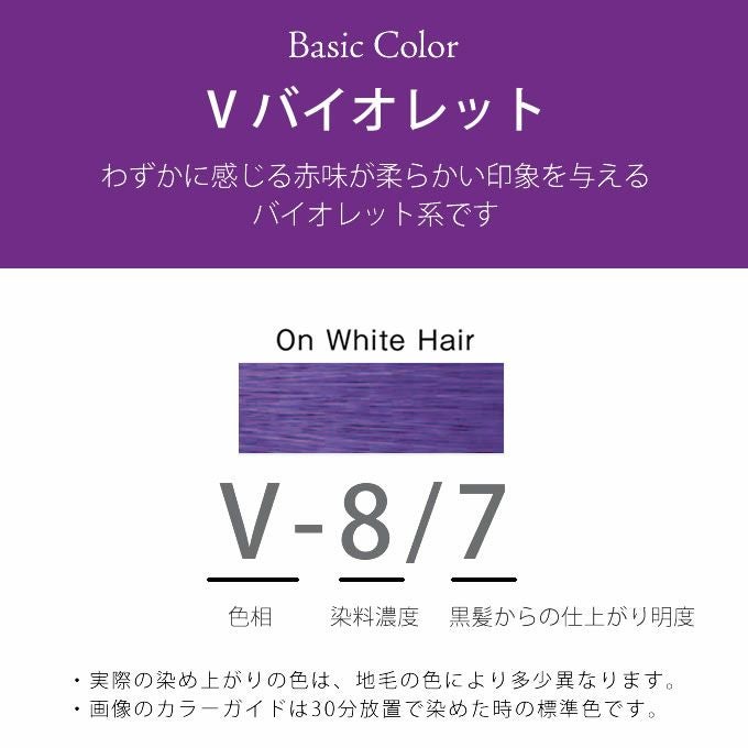 ホーユー プロマスター V-8/7 バイオレット 80g 医薬部外品｜美容室