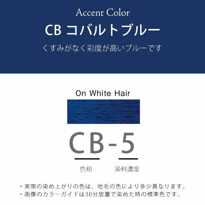 ホーユー プロマスター CB-5 コバルトブルー 80g 医薬部外品｜美容室
