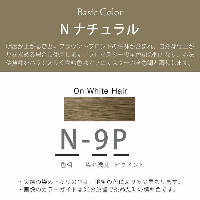 ホーユー プロマスター ピグメント N-9P ナチュラル 80g 医薬部外品