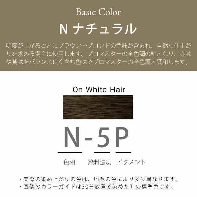 ホーユープロマスター　ナチュラル ホーユー プロマスター ピグメント N-5P ナチュラル 80g 医薬部外品