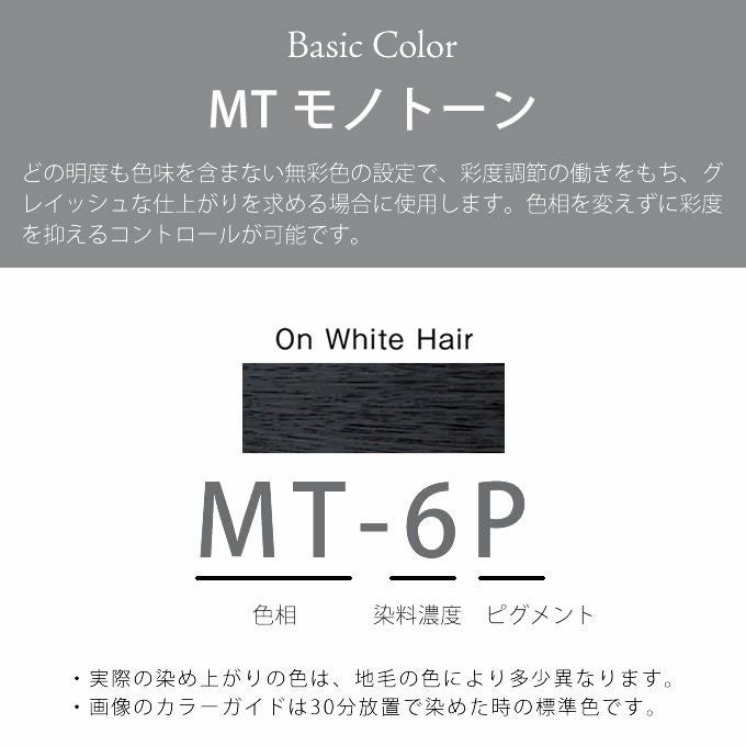 ホーユー プロマスター ピグメント MT-6P モノトーン 80g 医薬部外品