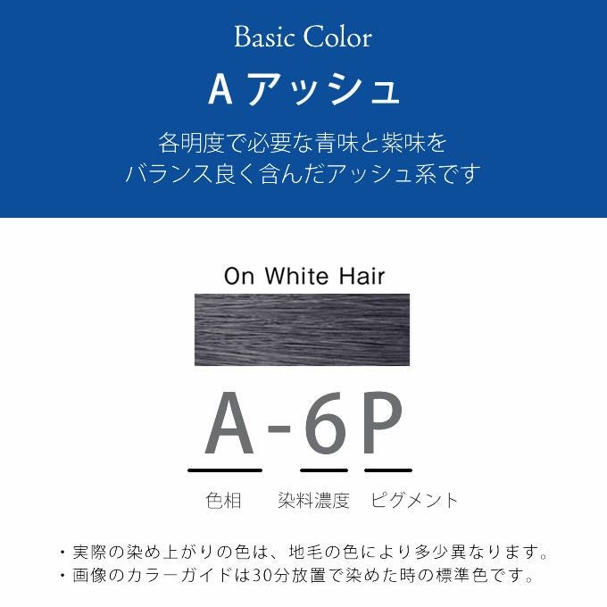 ホーユー プロマスター ピグメント A-6P アッシュ 80g 医薬部外品