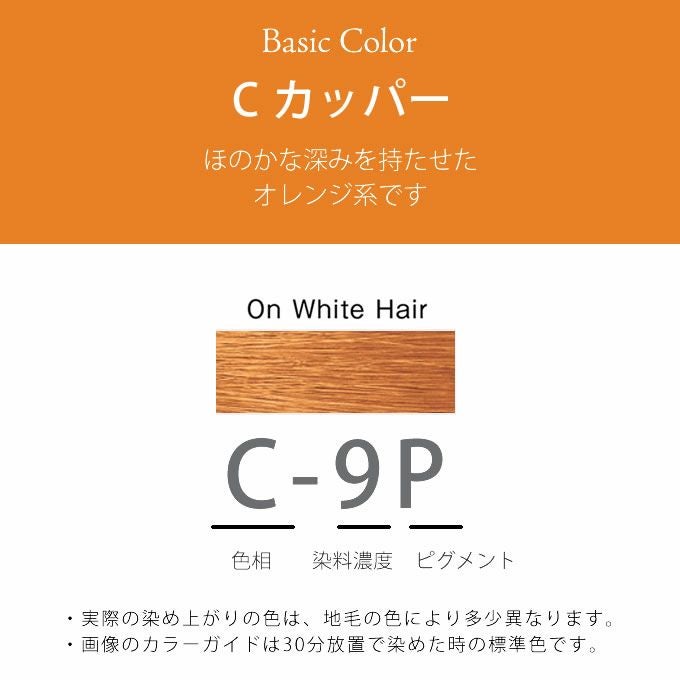 ホーユー プロマスター ピグメント C-9P カッパー 80g 医薬部外品