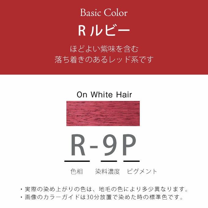 ホーユー プロマスター ピグメント R-9P ルビー 80g 医薬部外品｜美容