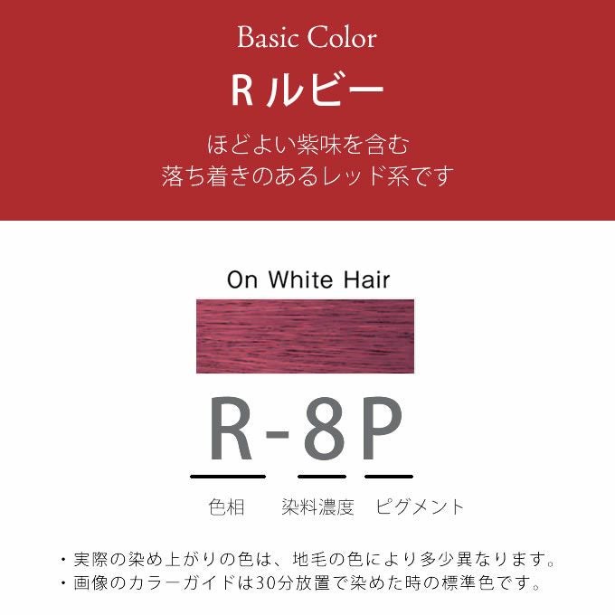 ホーユー プロマスター ピグメント R-8P ルビー 80g 医薬部外品｜美容