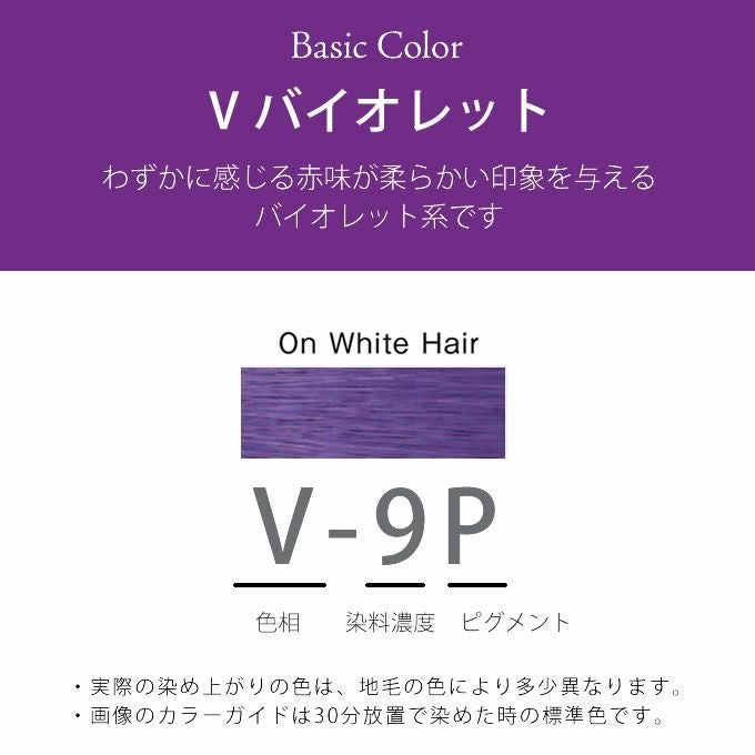 ホーユー プロマスター ピグメント V-9P バイオレット 80g 医薬部外品