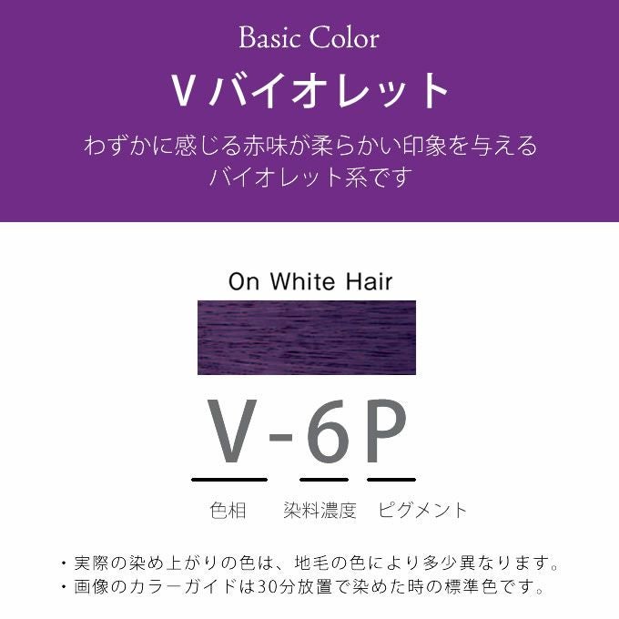 ホーユー プロマスター ピグメント V-6P バイオレット 80g 医薬部外品