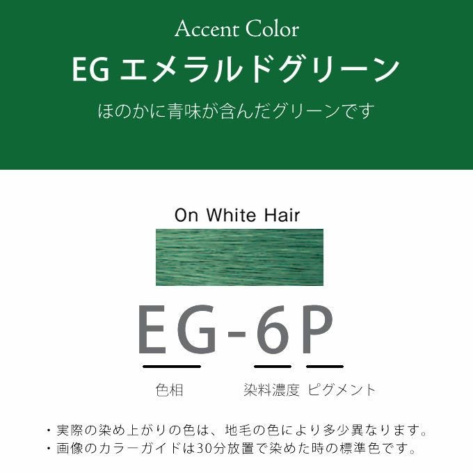 ホーユー プロマスター10本 トナーオン14本 ピグメント1本 プロステップ6本 ホーユー プロマスター ピグメント EG-6P エメラルドグリーン 80g 医薬