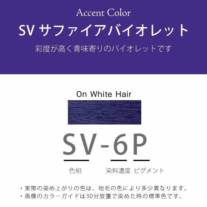 ホーユー プロマスター ピグメント SV-6P サファイアバイオレット 80g