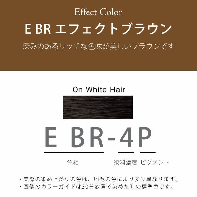 ホーユー プロマスター ピグメント E BR-4P エフェクトブラウン 80g