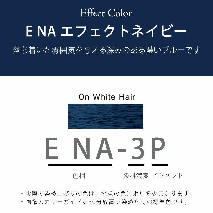 ホーユー プロマスター ピグメント E NA-3P エフェクトネイビー 80g