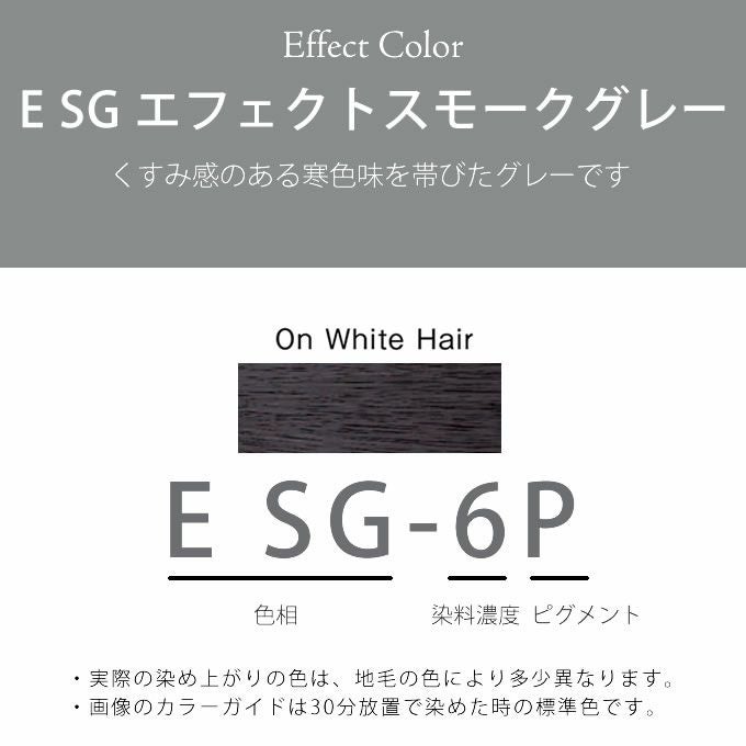 ホーユー プロマスター ピグメント E SG-6P エフェクトスモークグレー