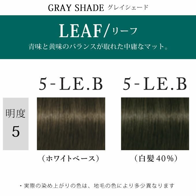 シュワルツコフ テラ by エッセンシティ リーフブラウン 5-LE.B 85g
