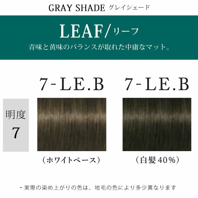 シュワルツコフ テラ by エッセンシティ リーフブラウン 7-LE.B 85g