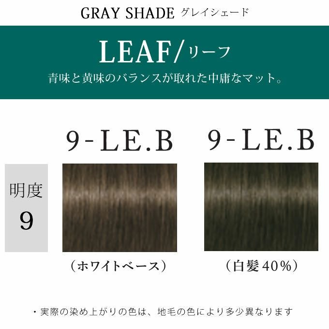 シュワルツコフ テラ by エッセンシティ リーフブラウン 9-LE.B 85g